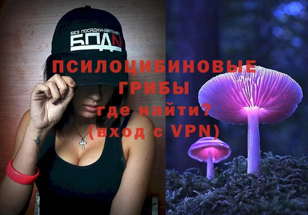 амф Абинск