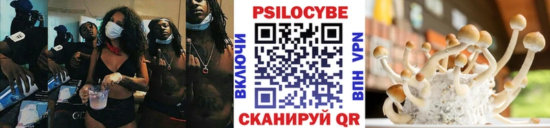 ОМГ ОМГ ТОР  Белый  Галлюциногенные грибы мицелий 